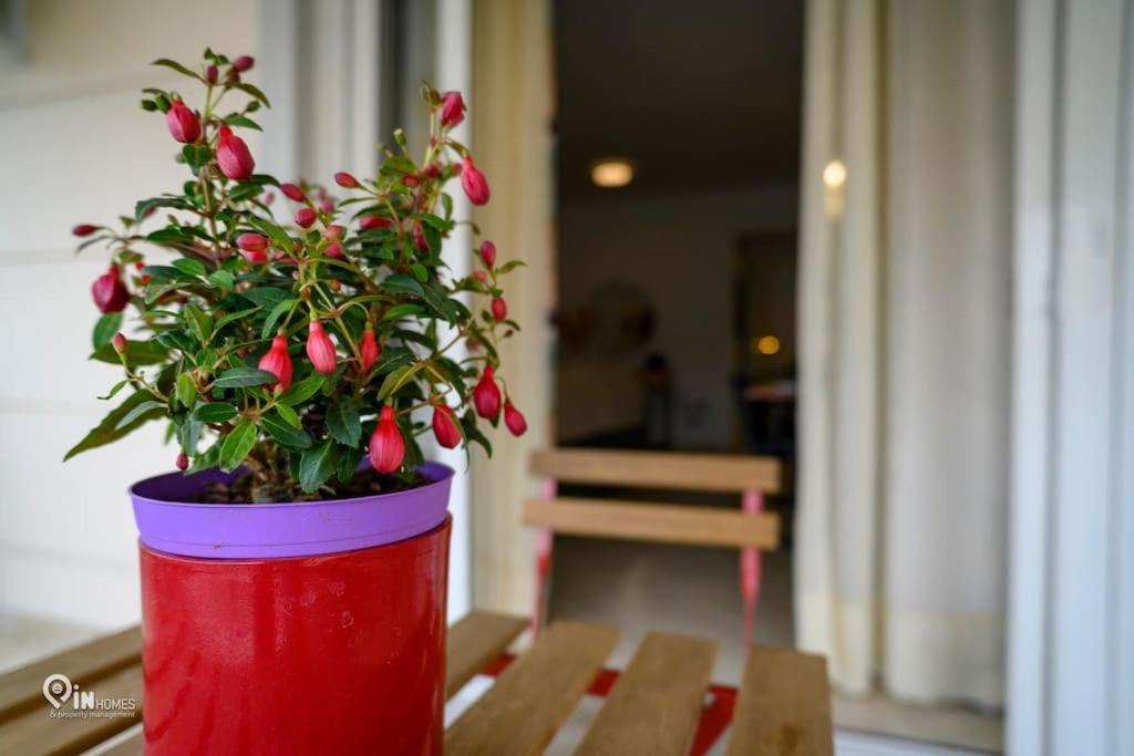 Thyme Out In Athens Daire Dış mekan fotoğraf